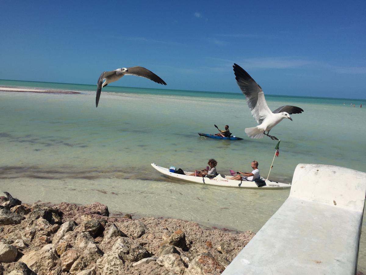 Hotel Hacienda La Catrina Holbox Extérieur photo