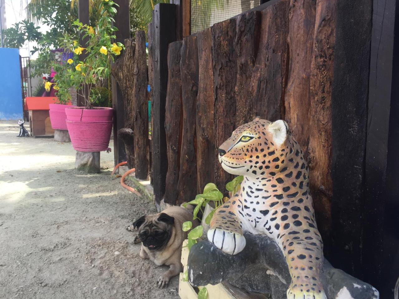 Hotel Hacienda La Catrina Holbox Extérieur photo